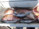 180604-2.jpg