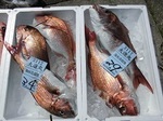180604-3.jpg