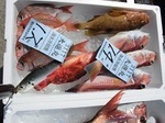 180604-4.jpg