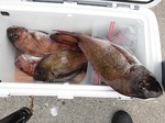 180605-2.jpg