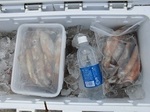 180605-4.jpg