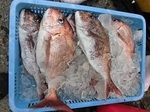 180606-3.jpg