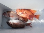 180607-4.jpg