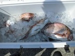 180608-3.jpg