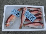 180613-2.jpg