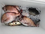 180615-1.jpg