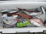 180616-2.jpg