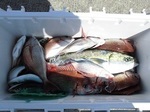 180617-3.jpg