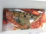 180618-1.jpg