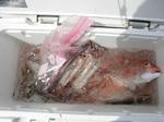 180619-1.jpg