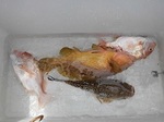 180619-3.jpg
