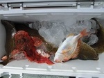 180623-3.jpg