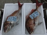180627-1.jpg