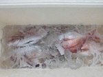 180629-1.jpg