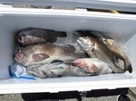 180801-2.jpg