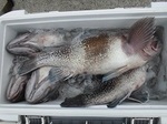 180802-2.jpg