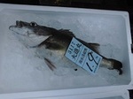 180802-5.jpg