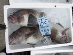 180802-6.jpg
