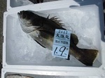 180803-3.jpg