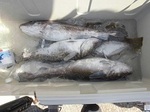 180804-5.jpg