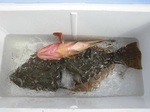 180813-6.jpg