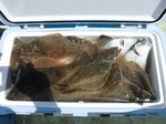 180814-5.jpg