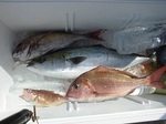 180815-2.jpg