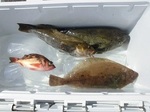 180815-5.jpg
