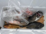 180819-3.jpg
