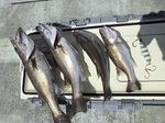 180822-2.jpg
