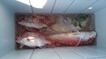 181026-2.jpg