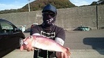 181026-3.jpg