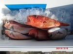 190206-6.jpg