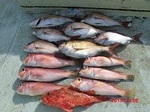 190226-2.jpg