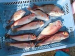 190226-3.jpg