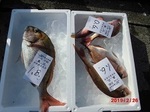 190226-4.jpg