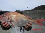 190330-3.jpg