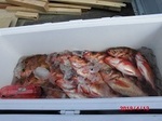 190412-7.jpg