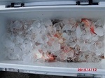 190412-8.jpg