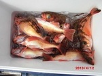 190412-9.jpg