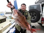 190414-1.jpg