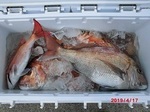 190417-2.jpg