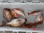 190417-3.jpg