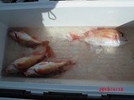 190418-2.jpg