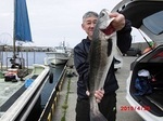 190429-3.jpg