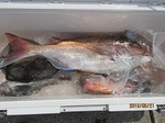 190621-2.jpg