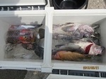 190621-5.jpg