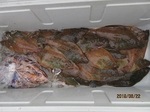 190622-2.jpg