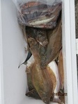 190622-5.jpg