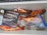 190623-1.jpg